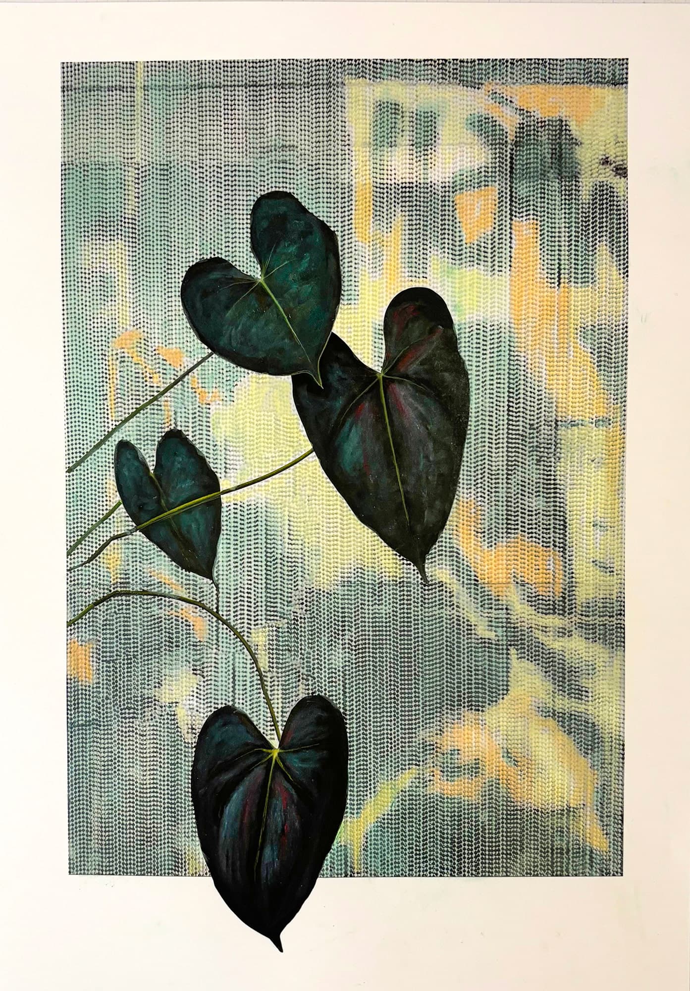 Philodendron