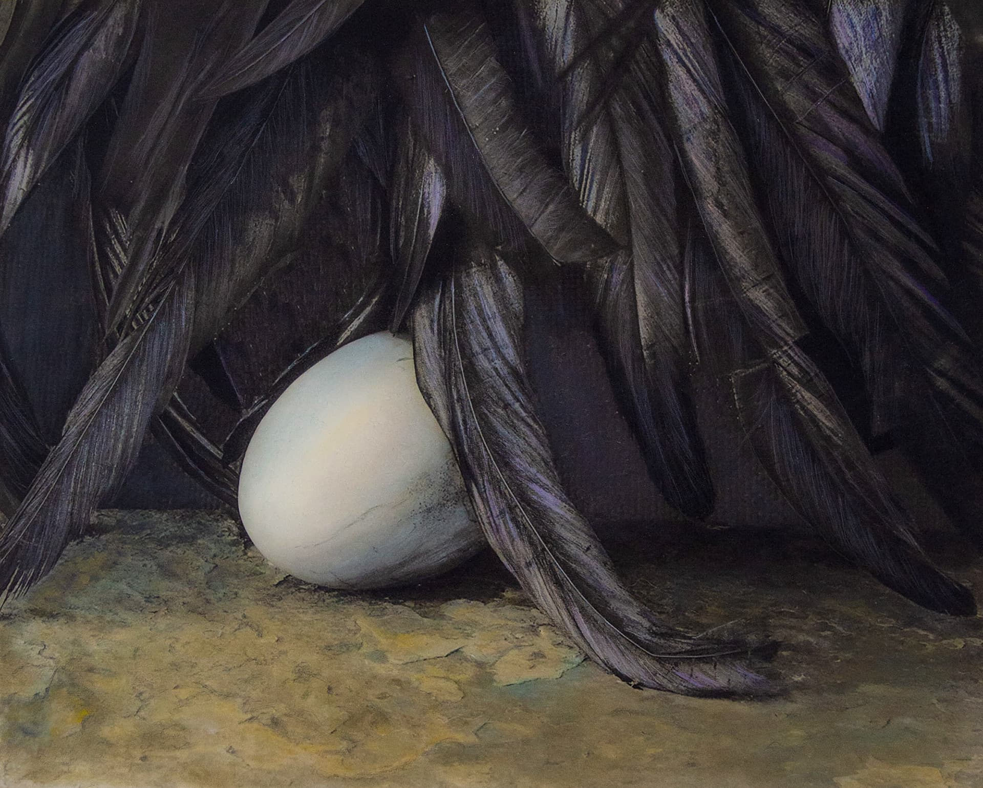 Quiet Nest